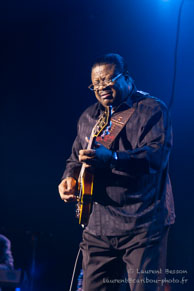 Chicago Blues Festival - Andrew 