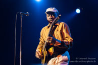 Chicago Blues Festival - Dc Bellamy