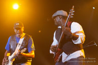 Chicago Blues Festival