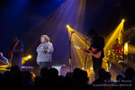 Chicago Blues Festival