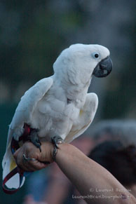 Public / Festival FNAC Live 2013 - Parvis de l'Hotel de Ville - 21/07/13