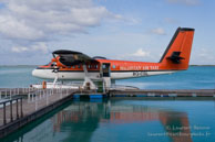 Maldives / Maldives - Vilamendhoo - Septembre 2008