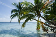 Vilamendhoo / Maldives - Vilamendhoo - Septembre 2008