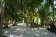 Vilamendhoo / Maldives - Vilamendhoo - Septembre 2008