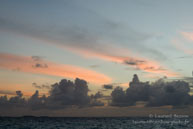 Vilamendhoo / Maldives - Vilamendhoo - Septembre 2008