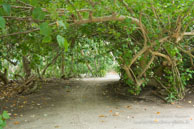 Vilamendhoo / Maldives - Vilamendhoo - Septembre 2008