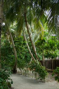 Vilamendhoo / Maldives - Vilamendhoo - Septembre 2008