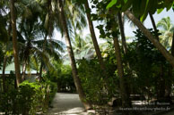 Vilamendhoo / Maldives - Vilamendhoo - Septembre 2008