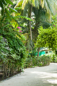 Vilamendhoo / Maldives - Vilamendhoo - Septembre 2008