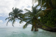 Vilamendhoo / Maldives - Vilamendhoo - Septembre 2008