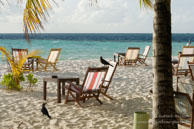 Vilamendhoo / Maldives - Vilamendhoo - Septembre 2008