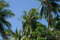 Vilamendhoo / Maldives - Vilamendhoo - Septembre 2008