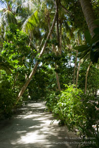 Vilamendhoo / Maldives - Vilamendhoo - Septembre 2008