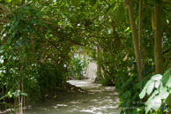 Vilamendhoo / Maldives - Vilamendhoo - Septembre 2008