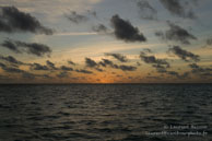 Vilamendhoo / Maldives - Vilamendhoo - Septembre 2008