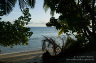 Vilamendhoo / Maldives - Vilamendhoo - Septembre 2008