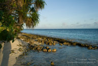 Vilamendhoo / Maldives - Vilamendhoo - Septembre 2008