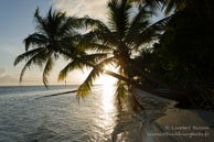 Vilamendhoo / Maldives - Vilamendhoo - Septembre 2008