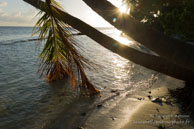 Vilamendhoo / Maldives - Vilamendhoo - Septembre 2008