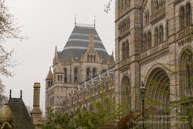 Natural History Museum / Londres - Avril 2009