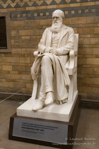 Darwin (Natural History Museum) / Londres - Avril 2009