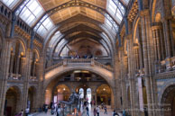 Natural History Museum / Londres - Avril 2009