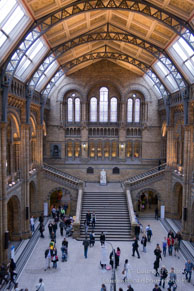Natural History Museum / Londres - Avril 2009