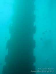 Plateforme Pétrolière / Sipadan/Mabul - Juin 2009 - Sipadan Water Village