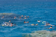 Site de plongée / Safaga Egypte - Septembre 2009