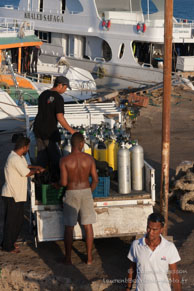 Port de Sagaga / Safaga Egypte - Septembre 2009