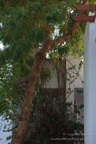 Hotel Ménaville / Safaga Egypte - Septembre 2009