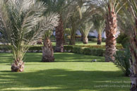 Hotel Ménaville / Safaga Egypte - Septembre 2009