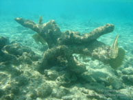 Playa Ancon / Trinidad - Cuba - Mars 2010