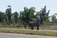 Sur la route / Cuba - Mars 2010