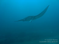 Siddhartha Dive Resort - Bali - Mai 2012