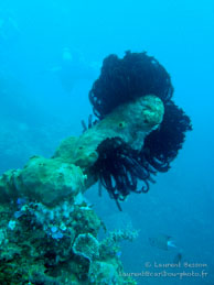 Siddhartha Dive Resort - Bali - Mai 2012