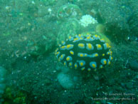 Siddhartha Dive Resort - Bali - Mai 2012